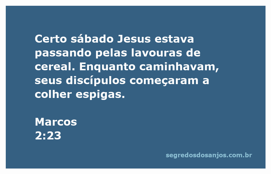 Jesus e seus discípulos colhendo espigas em um campo de cereais no sábado.