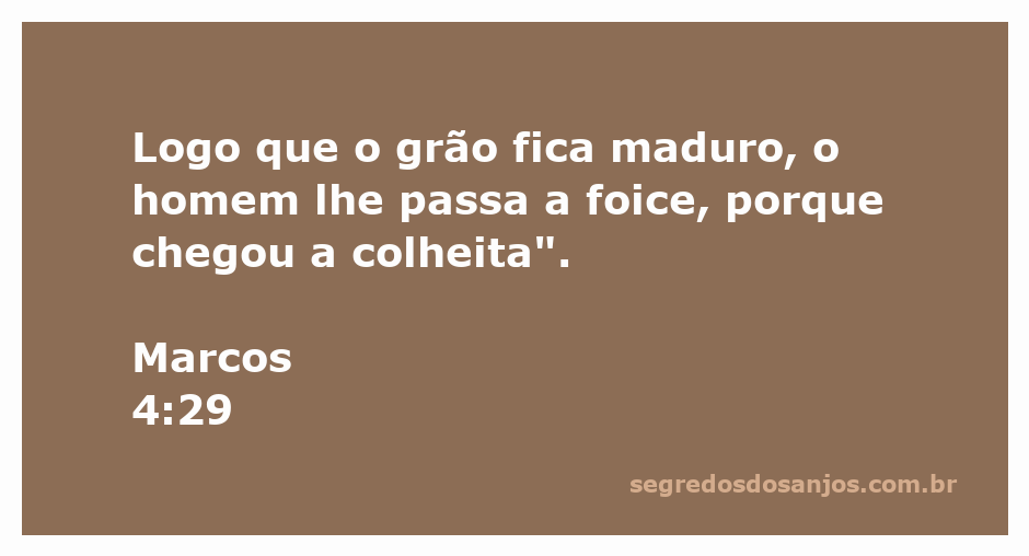 Imagem que representa a colheita de grãos, simbolizando o momento em que o homem passa a foice para coletar o que amadureceu, inspirado em Marcos 4:29.