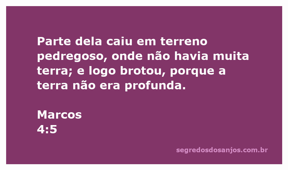 Ilustração do versículo Marcos 4:5, mostrando sementes caindo em terreno pedregoso e raso.