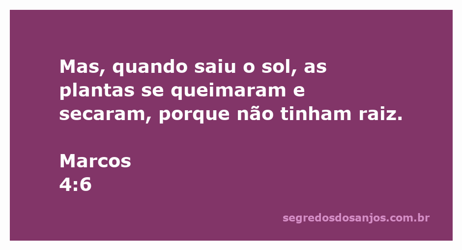 Imagem de plantas secas e queimadas sob o sol intenso representando a passagem de Marcos 4:6