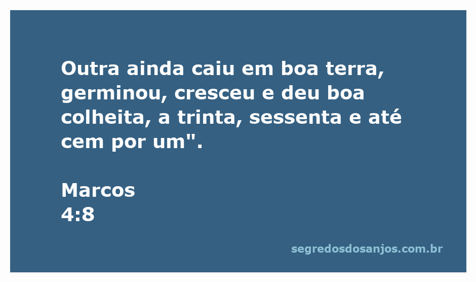 Imagem representativa de uma colheita abundante em campo fértil, simbolizando o versículo de Marcos 4:8.