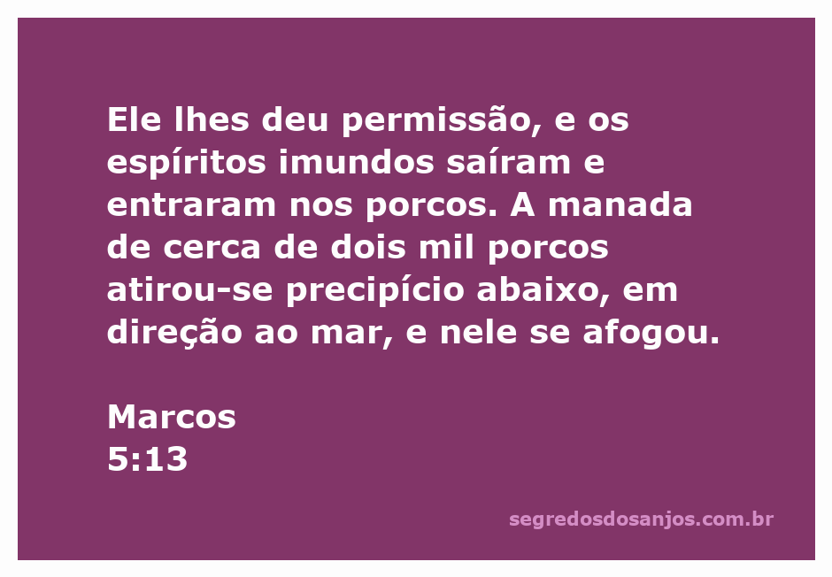 Ilustração da passagem bíblica de Marcos 5:13, mostrando porcos correndo em direção ao precipício.