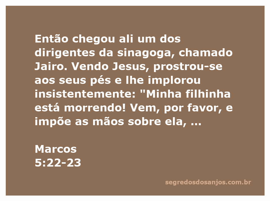 Jairo se prostra aos pés de Jesus, implorando pela cura de sua filhinha.