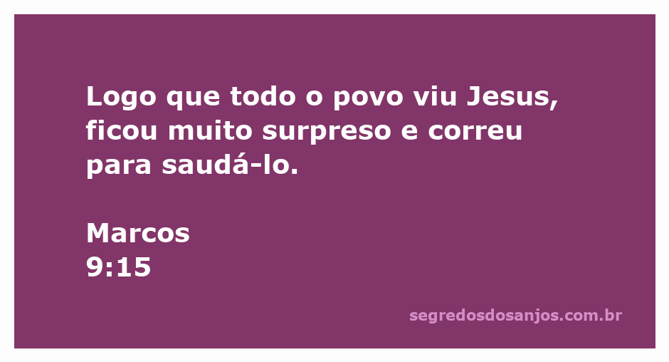 Jesus sendo saudado pela multidão, expressando surpresa e alegria.