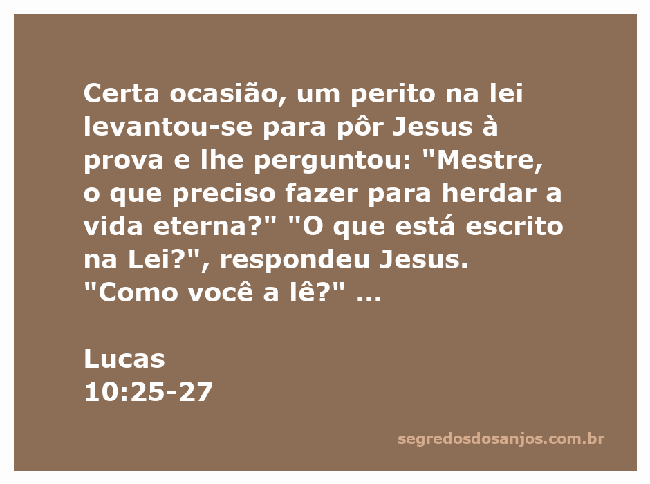 Ilustração de Jesus conversando com um perito na lei sobre a vida eterna e o amor a Deus e ao próximo.