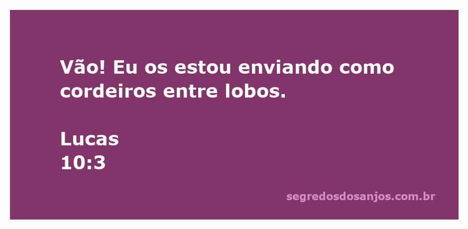 Imagem de cordeiros sendo enviados entre lobos, simbolizando a fragilidade e a missão.