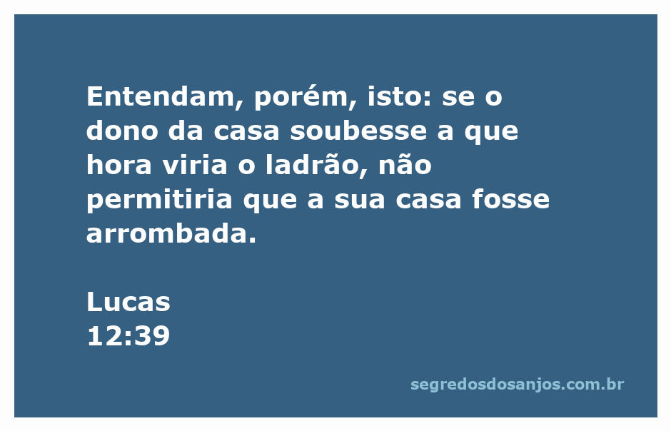 Ilustração de um ladrão tentando arrombar uma casa, simbolizando a vigilância e a preparação.