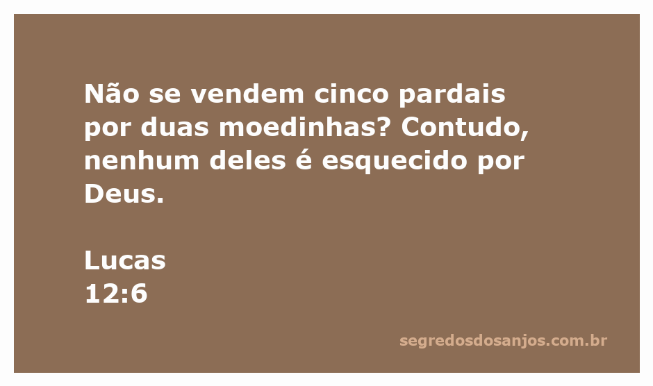 Imagem de pardais simbolizando o cuidado de Deus com todas as criaturas.