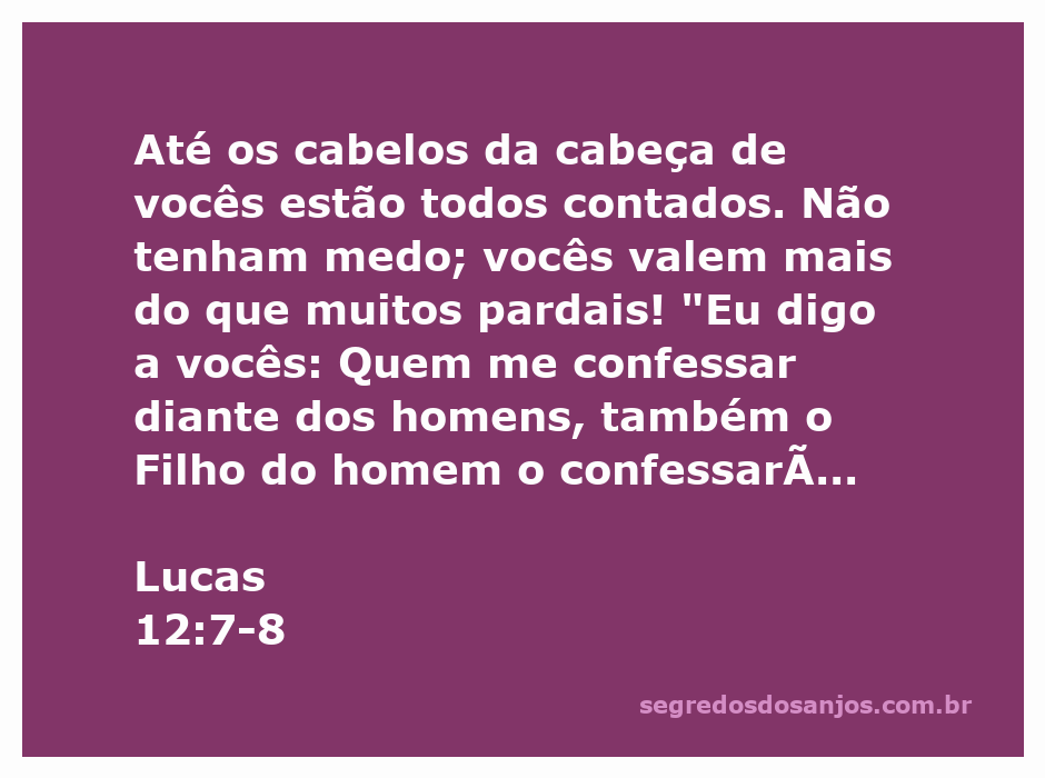 Ilustração do versículo Lucas 12:7-8, destacando a importância do valor humano e a promessa de Jesus.