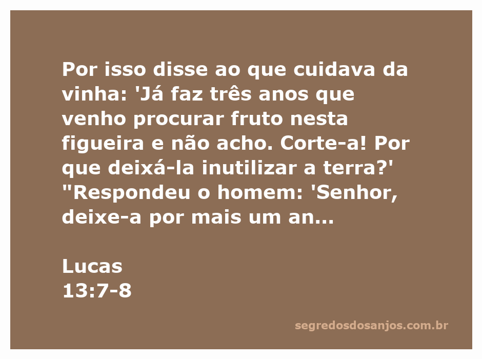 Uma ilustração de uma figueira com um homem cuidando dela, simbolizando a paciência e a esperança na colheita.