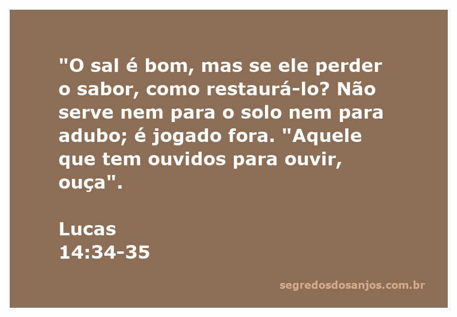 Imagem representativa do versículo Lucas 14:34-35, mostrando sal e uma paisagem agrícola.