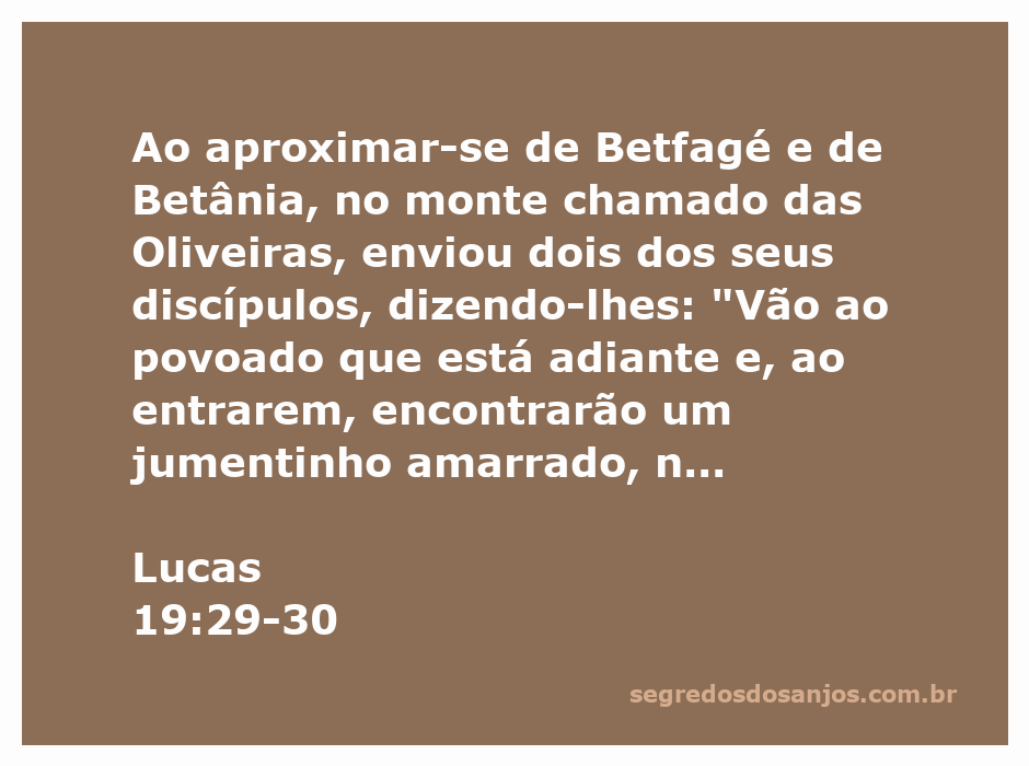 Imagem de um jumentinho amarrado em um povoado, simbolizando a passagem bíblica de Lucas 19:29-30.