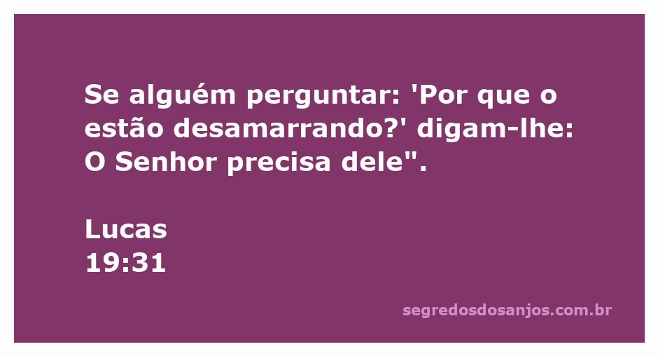 Imagem de um jumento sendo desamarrado com a citação de Lucas 19:31