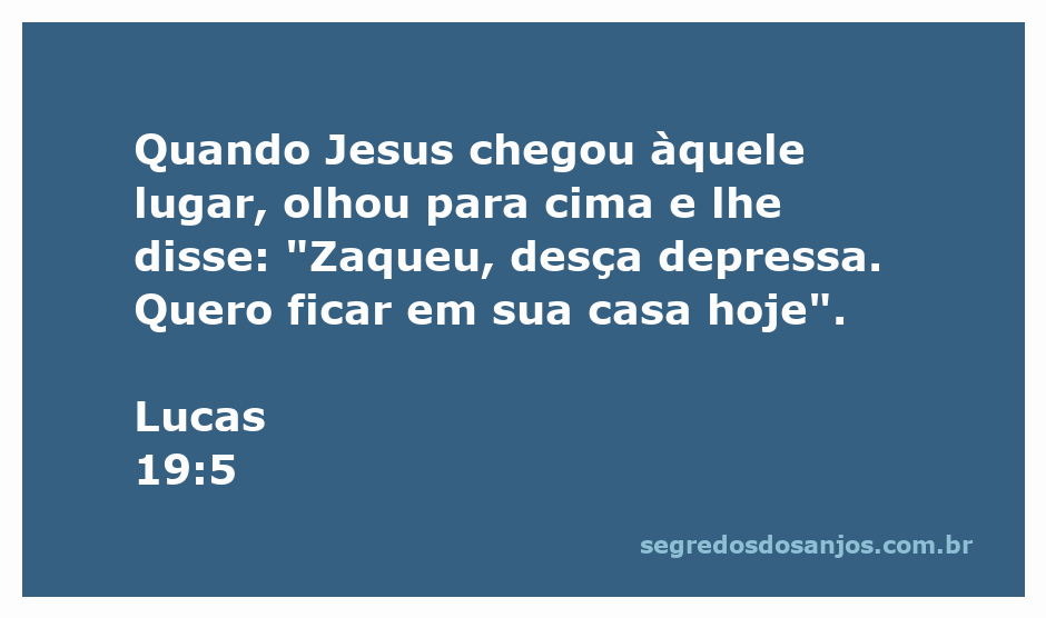 Imagem de Jesus chamando Zaqueu para descer da árvore em Lucas 19:5