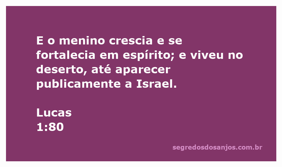Imagem de João Batista crescendo no deserto, simbolizando sua força espiritual.