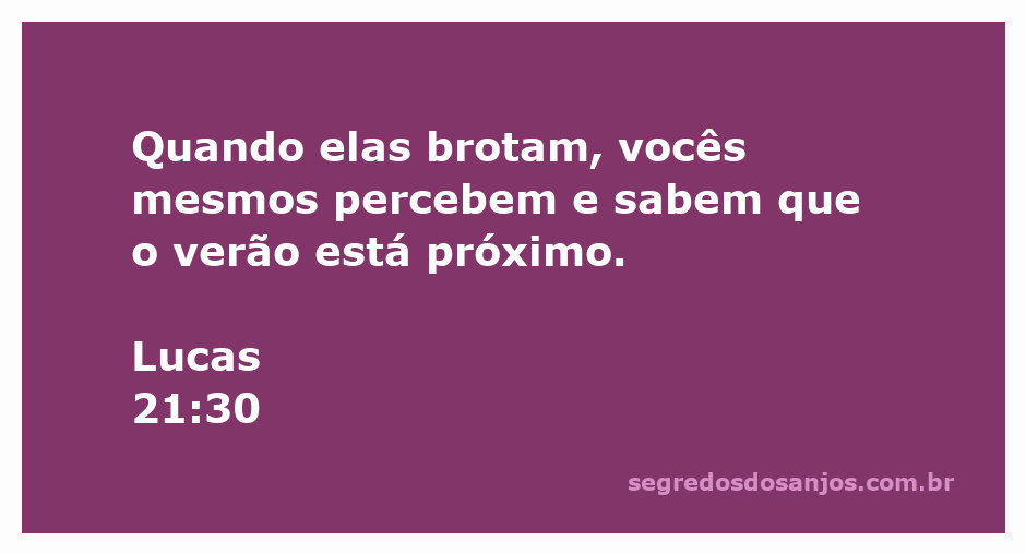 Ilustração de brotos que surgem na primavera, simbolizando a proximidade do verão, com a citação de Lucas 21:30.