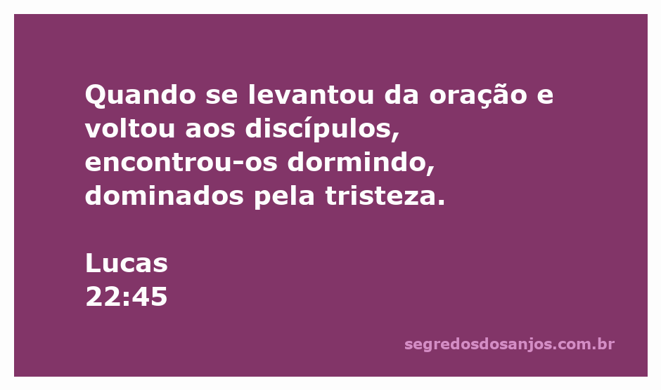 Jesus se levantando da oração e encontrando os discípulos dormindo, simbolizando a tristeza e a pressão antes da crucificação.