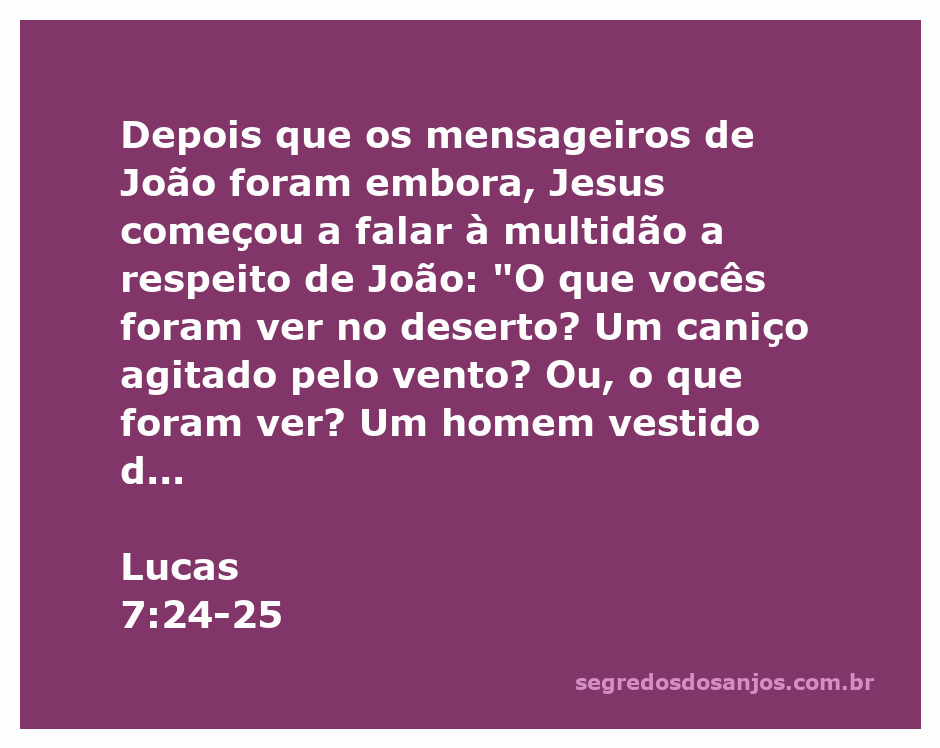 Jesus conversando com a multidão sobre João Batista no deserto.