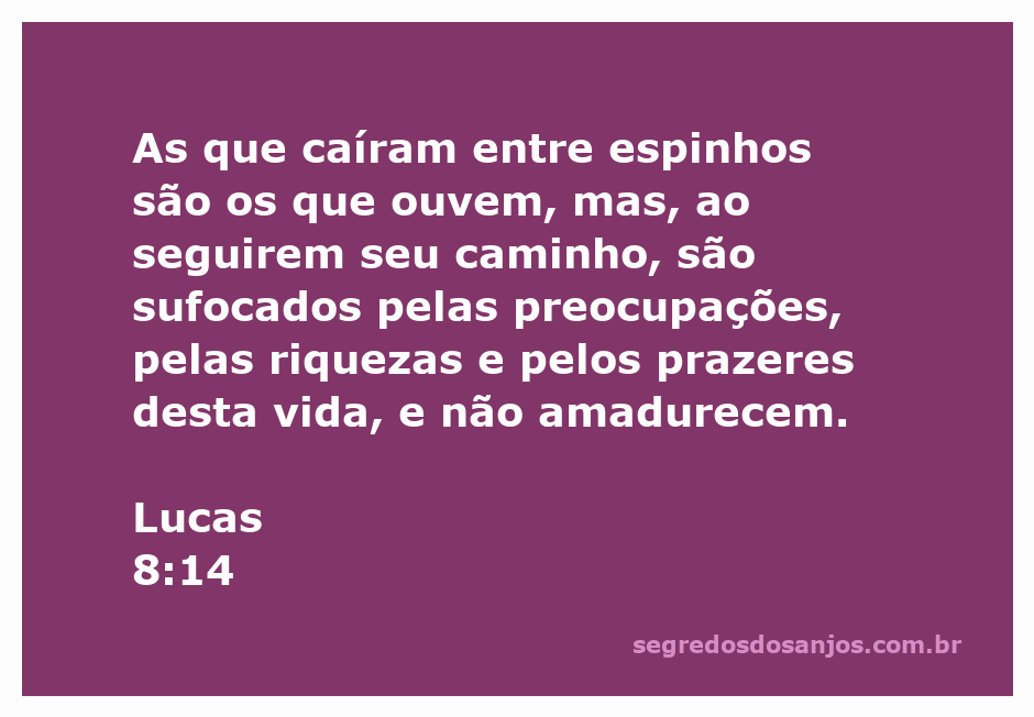 Ilustração do versículo Lucas 8:14, que fala sobre os espinhos que sufocam a palavra de Deus.