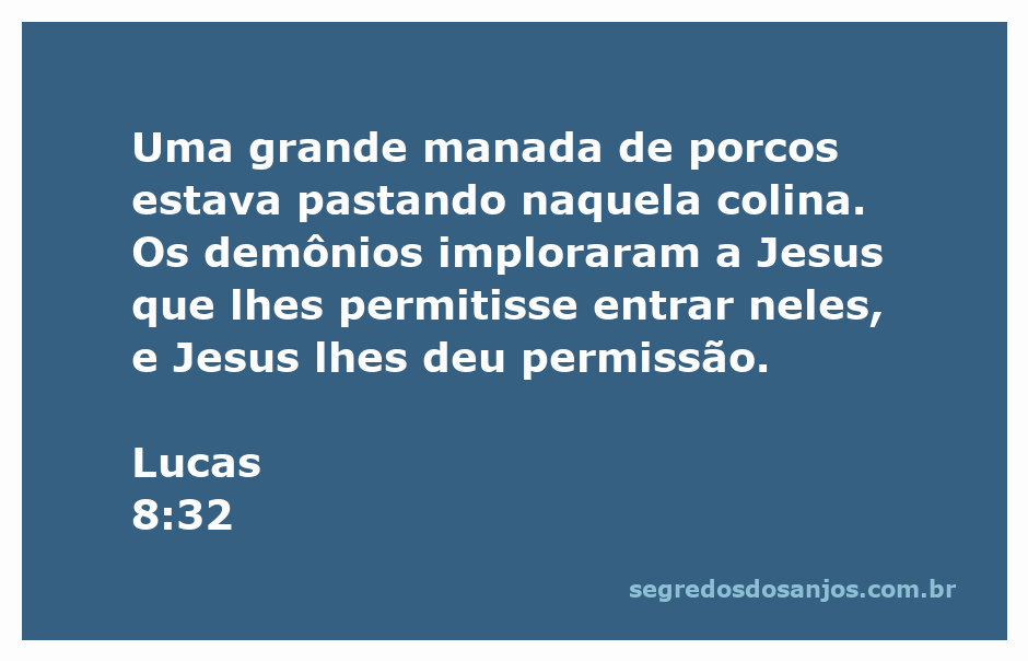 Uma manada de porcos pastando em uma colina, simbolizando a passagem de Lucas 8:32 onde demônios pedem permissão a Jesus para entrar nos porcos.