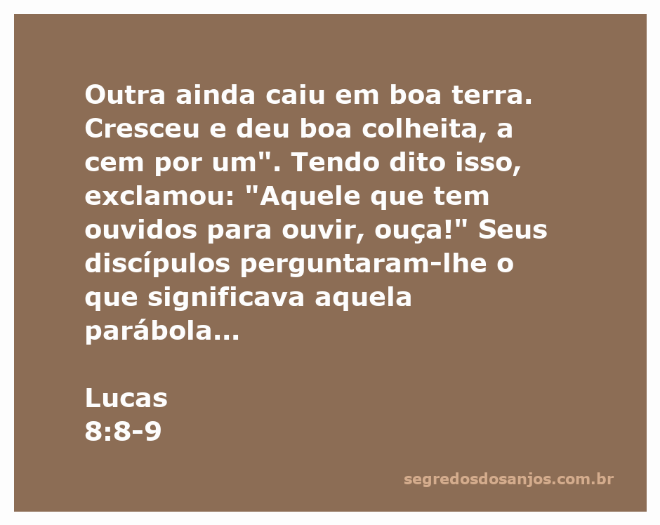 Imagem ilustrativa da parábola do semeador, representando a boa terra que produz uma colheita abundante.