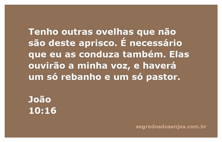 Jesus como o pastor que busca suas ovelhas, representando unidade e liderança espiritual.
