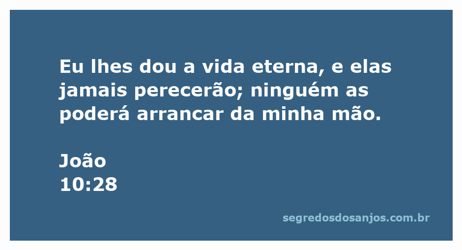 Imagem representativa da promessa de vida eterna conforme João 10:28.