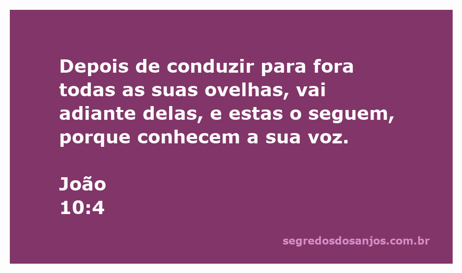 Imagem de um pastor guiando suas ovelhas, simbolizando a liderança e a conexão com os fiéis.
