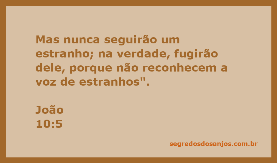 Uma ovelha se afastando de um estranho, simbolizando a proteção e a orientação de Jesus.
