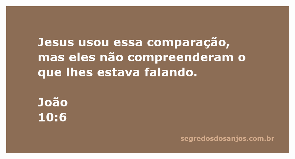 Ilustração de Jesus explicando a parábola sobre o bom pastor, onde as pessoas não compreendem sua mensagem.