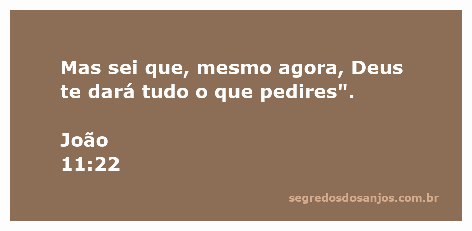 Versículo de João 11:22 destacando a fé em Deus e a certeza de que Ele atende aos pedidos.
