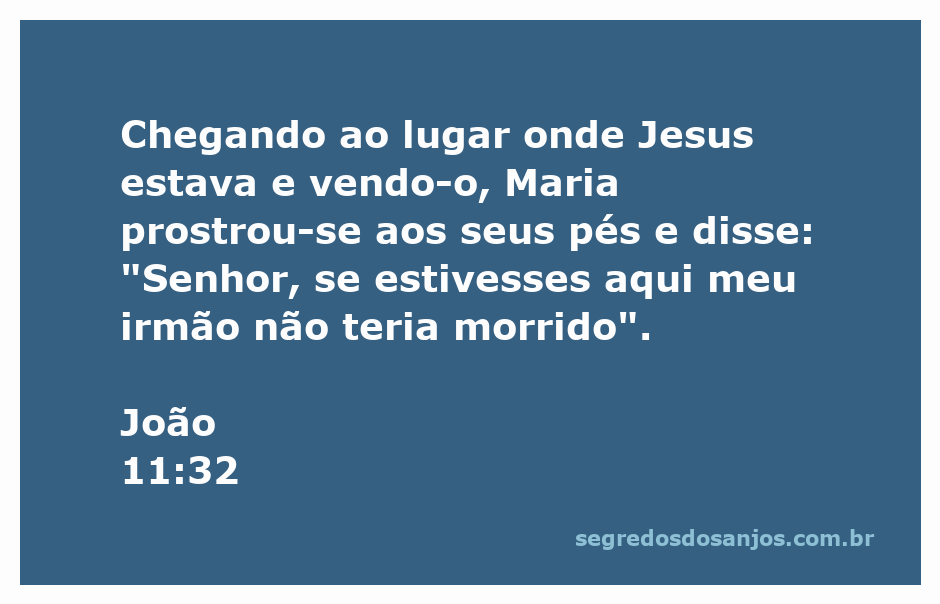 Maria se prostra aos pés de Jesus em um momento de dor pela perda de seu irmão.