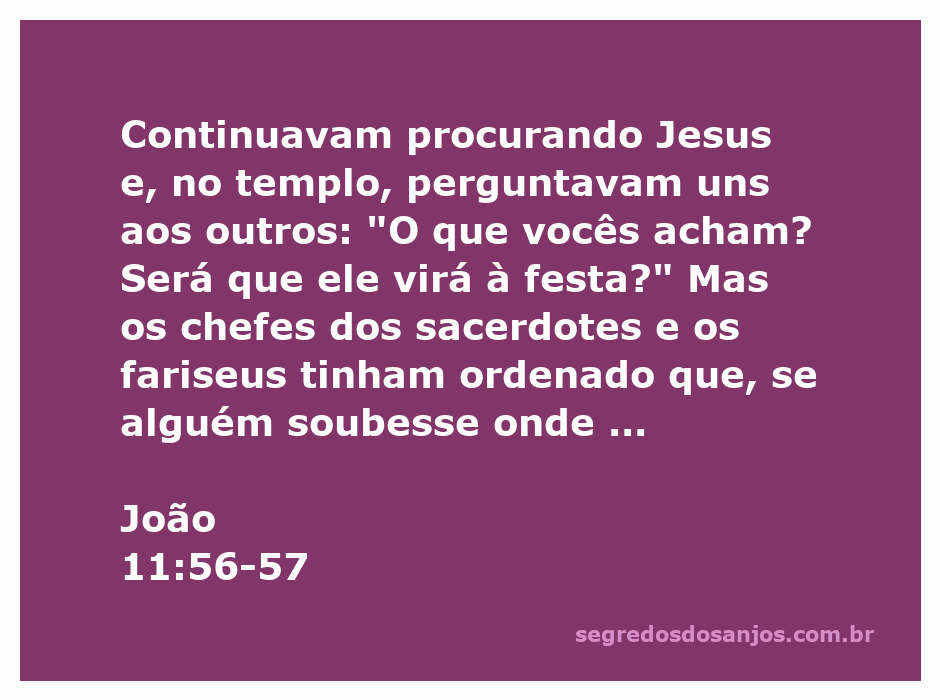 Ilustração da multidão no templo discutindo sobre a presença de Jesus durante a festa, com líderes religiosos observando.