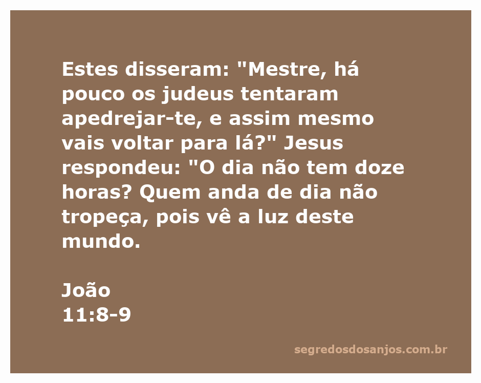 Jesus conversando com seus discípulos sobre o risco de retornar à Judeia, enfatizando a importância da luz e da segurança.