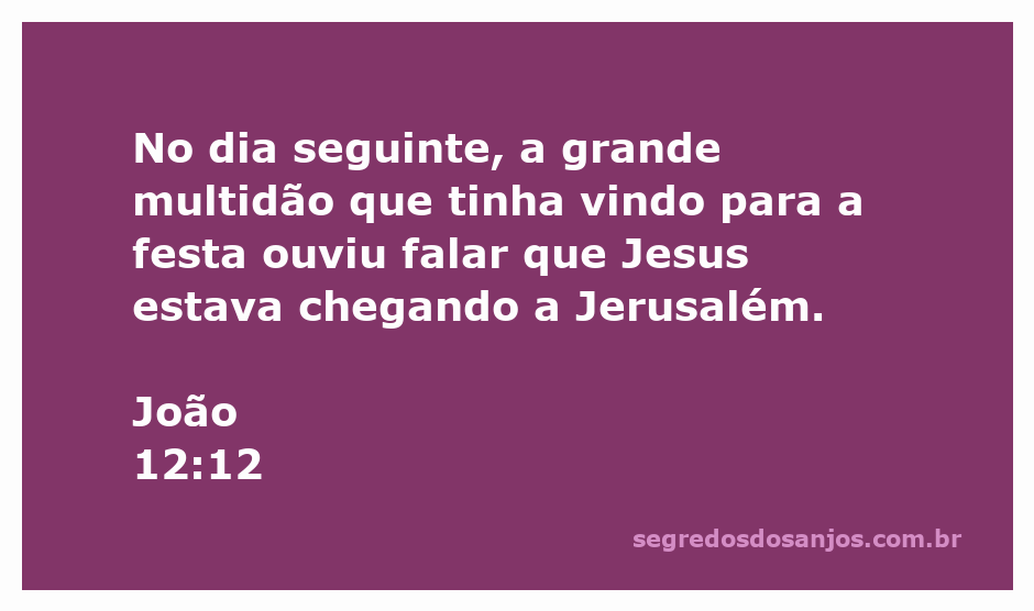 Multidão recebendo Jesus em Jerusalém durante a festa, conforme descrito em João 12:12.