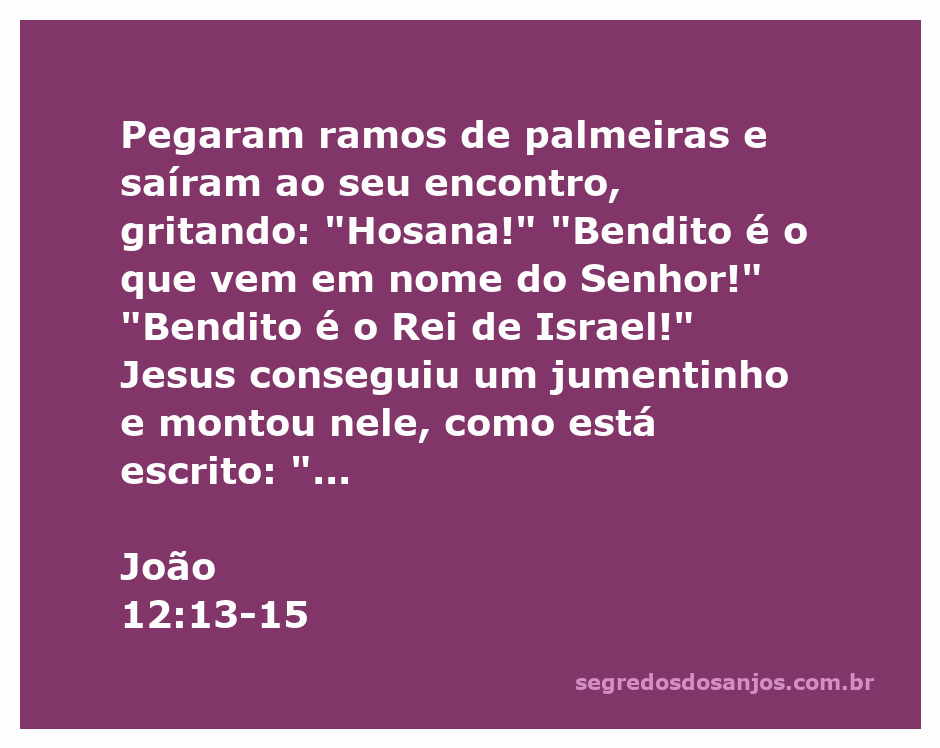 Jesus montado em um jumentinho, cercado por pessoas agitando ramos de palmeiras e gritando 'Hosana!' em reverência.