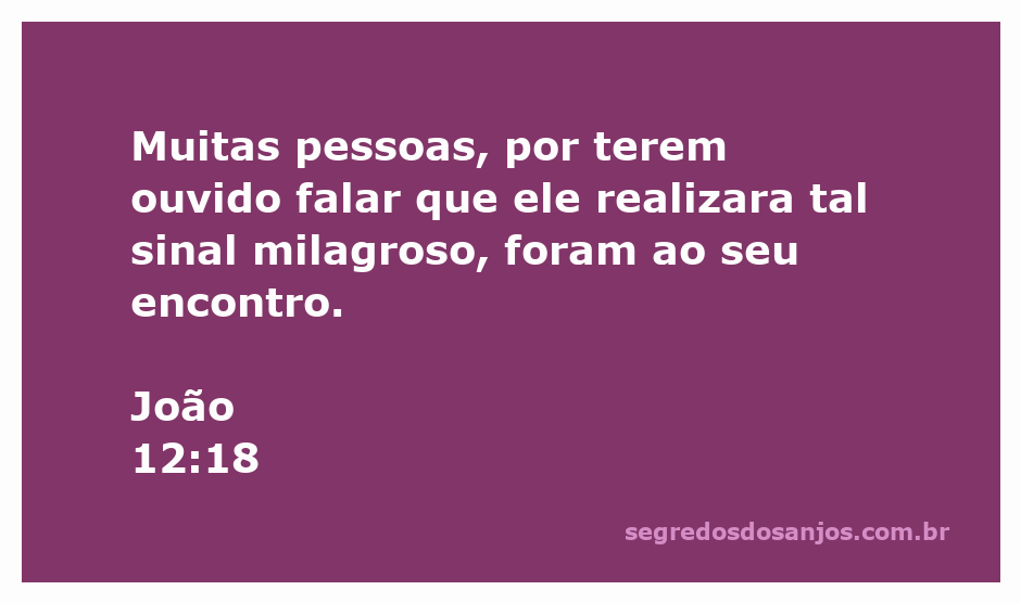 Multidão se reunindo para ver Jesus após o milagre.