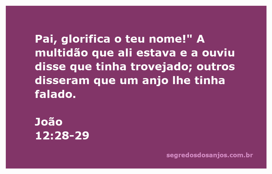 Imagem representativa do momento em que Jesus clama ao Pai em João 12:28-29, com a multidão ao fundo reagindo ao evento sobrenatural.