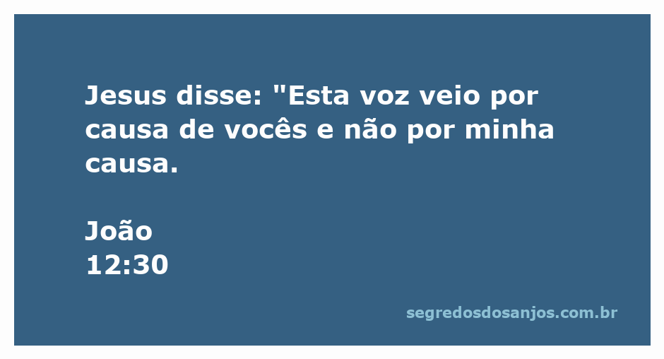 Jesus explicando a importância da voz que ouviu, enfatizando que ela foi para os ouvintes e não para Ele.