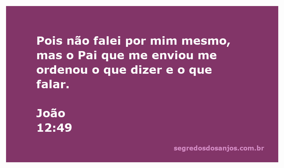 Jesus afirmando que fala as palavras do Pai que o enviou, ilustrando a conexão divina em João 12:49.