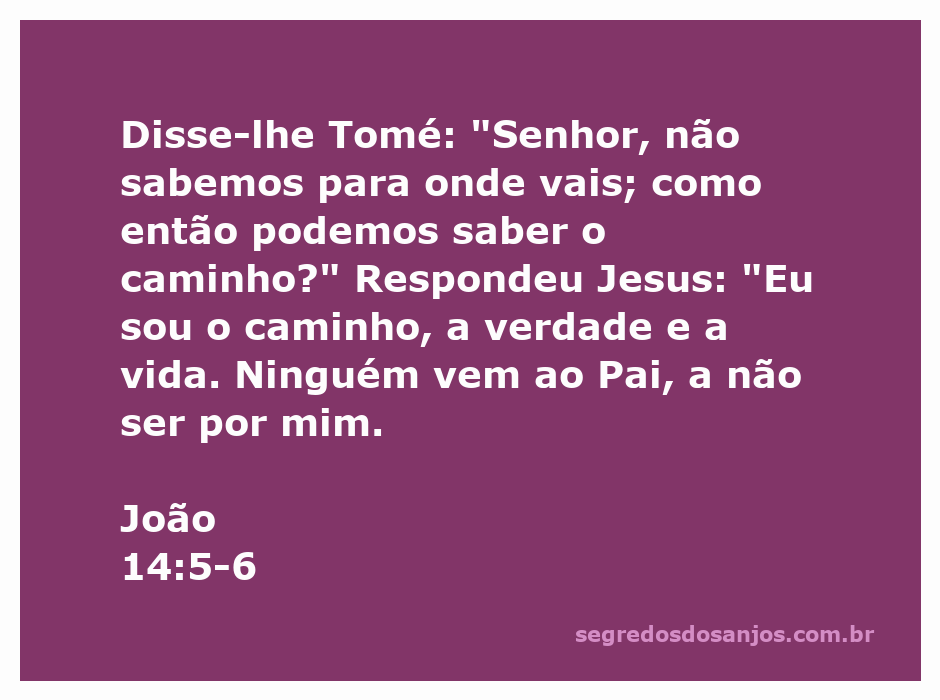 Imagem de Jesus dizendo que Ele é o caminho, a verdade e a vida, com referência ao diálogo com Tomé.
