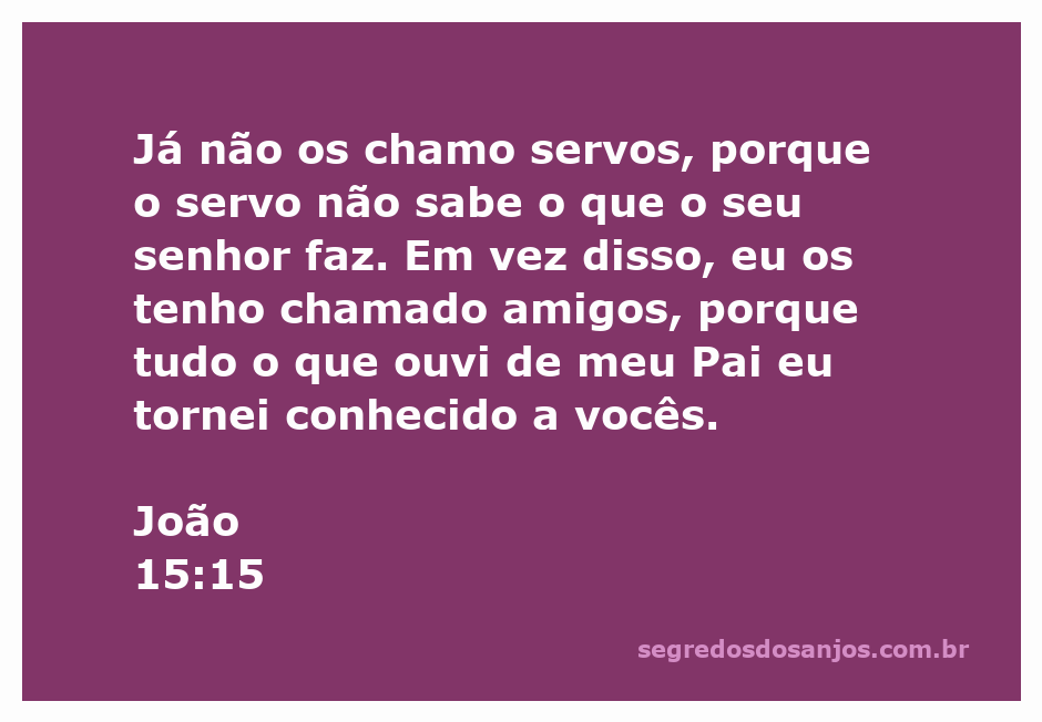 Imagem representativa de amizade e revelação divina, ilustrando João 15:15.