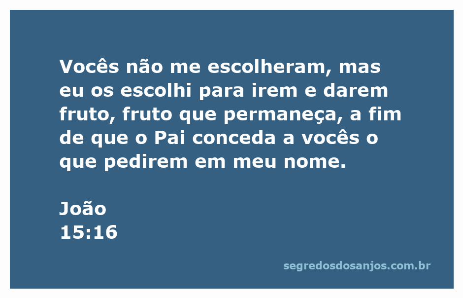 Versículo de João 15:16 que fala sobre ser escolhido por Deus para dar frutos duradouros.