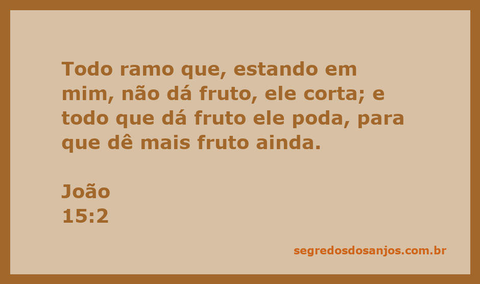 Imagem representativa da poda de ramos, simbolizando a passagem de João 15:2 sobre a frutificação espiritual.
