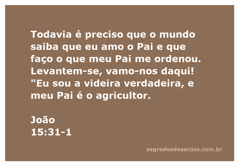 Imagem representativa de Jesus como a videira verdadeira, simbolizando a relação entre Ele e o Pai.