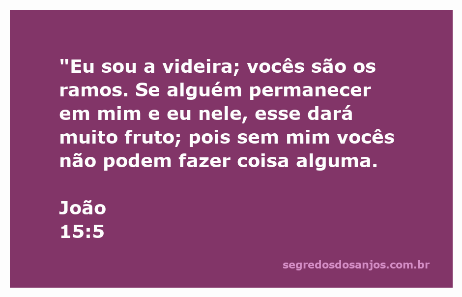 Imagem representando Jesus como a videira e os fiéis como os ramos, simbolizando a conexão espiritual e a frutificação na fé.