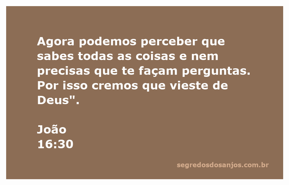 Imagem que representa a passagem bíblica João 16:30, destacando a sabedoria de Jesus e o reconhecimento de sua origem divina.