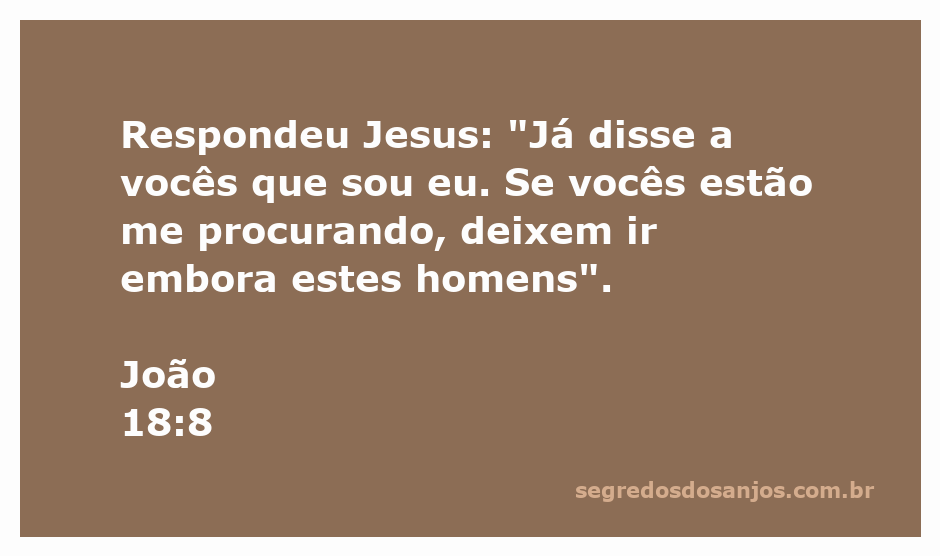 Jesus afirmando sua identidade durante a prisão, protegendo seus discípulos.