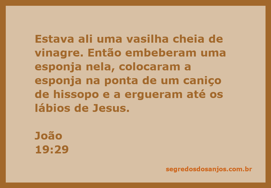 Imagem de um caniço de hissopo com esponja embebida em vinagre sendo levantado até os lábios de Jesus na crucificação.