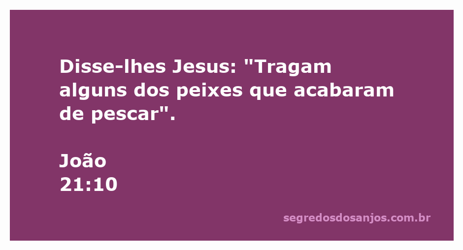 Jesus orienta os discípulos a trazerem os peixes que pescaram.